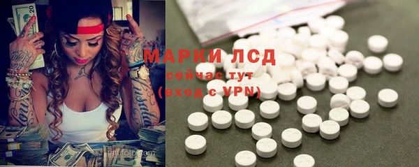гидра Алзамай